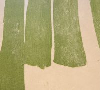 IMG_0367